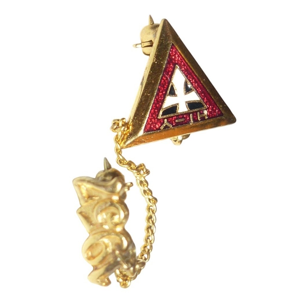 Vintage 1957 Triangle Sorority Fraternity Enamel Lapel Pin Guard Chain Gold Tone